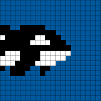 Orca