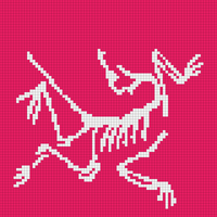arcteryx.jpg