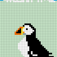 Puffin