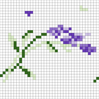 Copy of Lavender socks