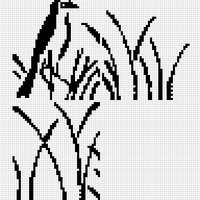 Copy of jerga 2