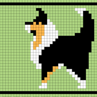 Copy of Collie