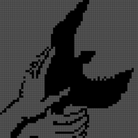 shadow