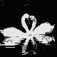 IMG_1801.jpeg