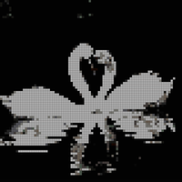 IMG_1801.jpeg