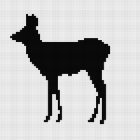 IMG_0083.jpeg