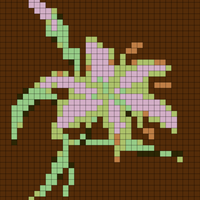IMG_9657.png