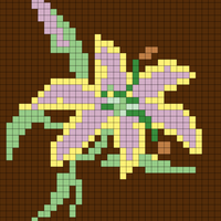 IMG_9657.png