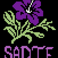 Copy of s pattern