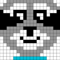 Racoon Face