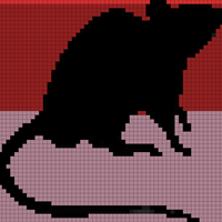 55 st rat final