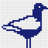 Copy of Seagull