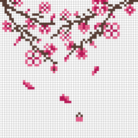 Copy of Copy of RADISH SOCKS
