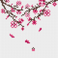 Cherry Blossom Socks