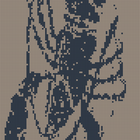 lobster pattern.jpeg