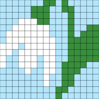 Snow Drop 