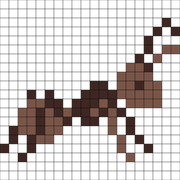 ant