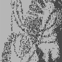 lobster pattern.jpeg