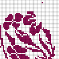 garden of flowers