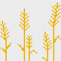wheat