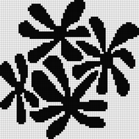 IMG_3123.jpeg
