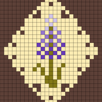 Hyacinth