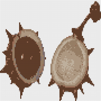 conkers.jpg