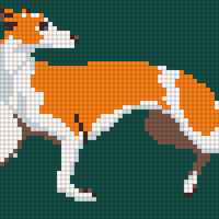 Whippet Small