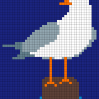 Seagull