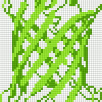 GFP 1.jpg