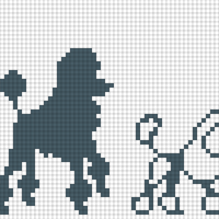 Poodle Samples