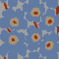 1000050483.jpg