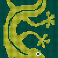 Copy of Copy of gator3