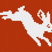 Square Hare