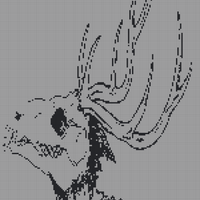 IMG_2031.png