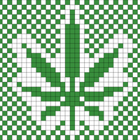Copy of hemp