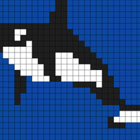 Copy of orca middle