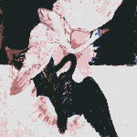 IMG_9449.jpeg