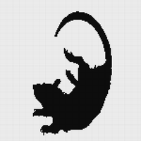 IMG_2161.png