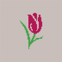 tulip 2