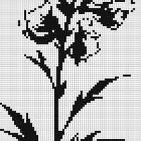 IMG_6856.jpeg
