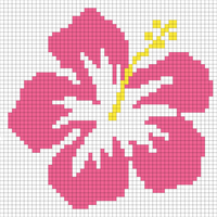 Hibiscus flower