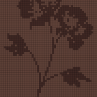 IMG_6854.png
