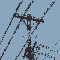 birds online.jpeg