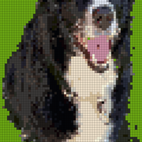 Screenshot_20260505_145655_Gallery.jpg