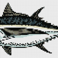 Copy of Tuna Fish