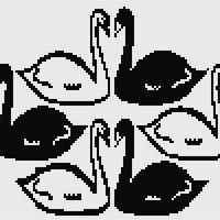 IMG_0050.jpeg