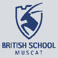 BSM logo.png
