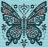 butterfly (2).jpg