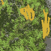 IMG_9185.jpeg